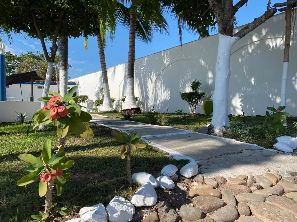 Palm garden at Hotel Paraíso Kora
